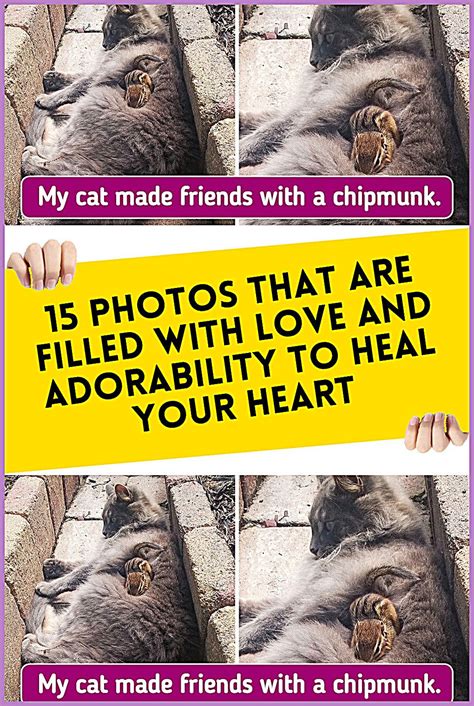 15 Photos That Are Filled With Love And Adorability To Heal Your Heart 15 Photos That Are Filled With Love And Adorability To Heal Your Heart