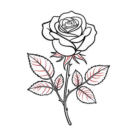 A Drawing Of A Rose With Leaves On It A Drawing Of A Rose With Leaves On It
