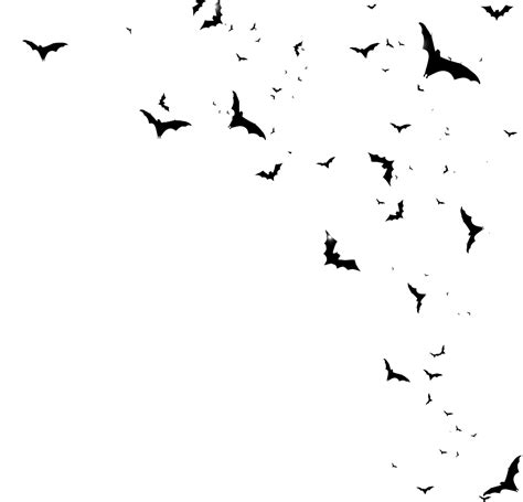 Bats Png