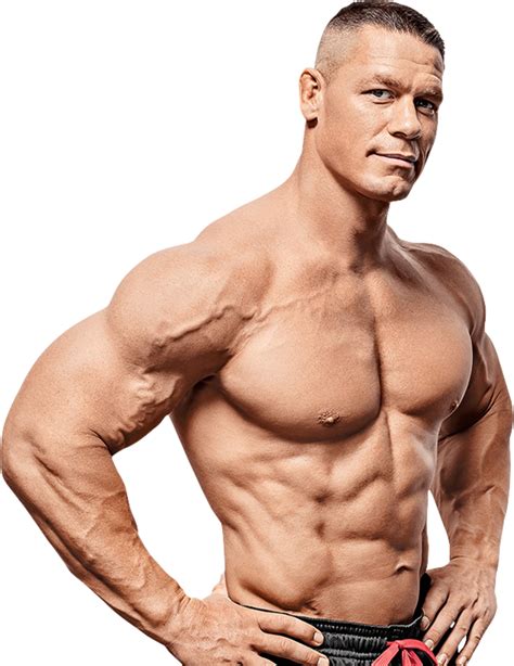 Body Muscles Stability Power Flexibility Strength Png Body Muscles Stability Power Flexibility Strength Png