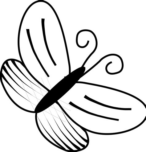 Butterfly Clipart Black And White