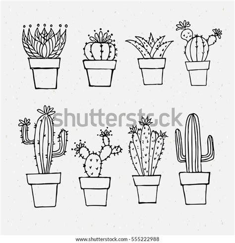 Cactus Outlines Stock Vector Royalty Free 555222988 Cactus Outlines Stock Vector Royalty Free 555222988