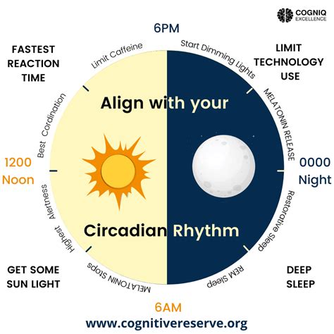Circadian Pronunciation