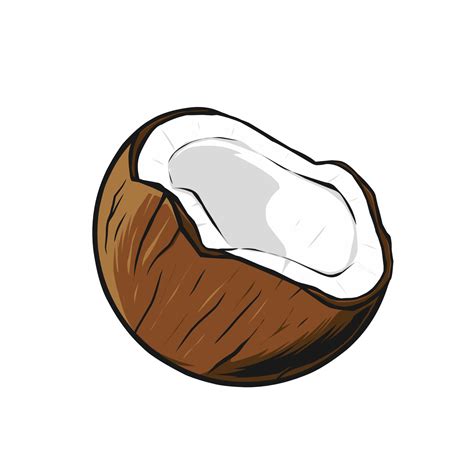 Coconut Drawing