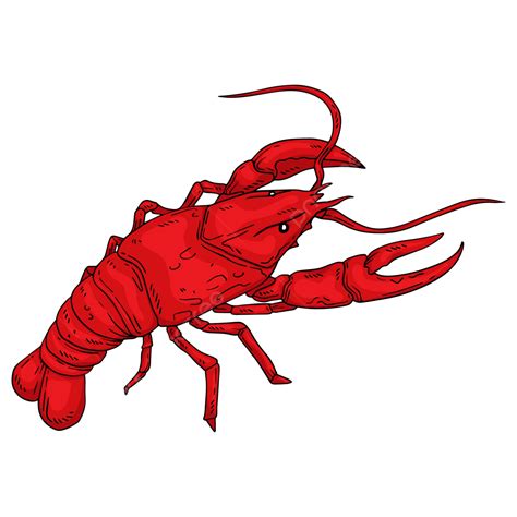 Crawfish Clipart
