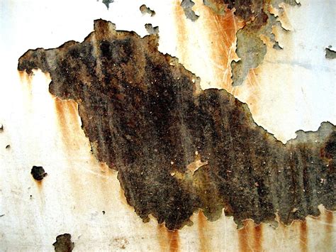Deteriorative Meaning