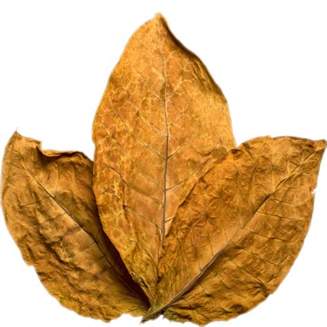 Download Tobacco Png Image For Free