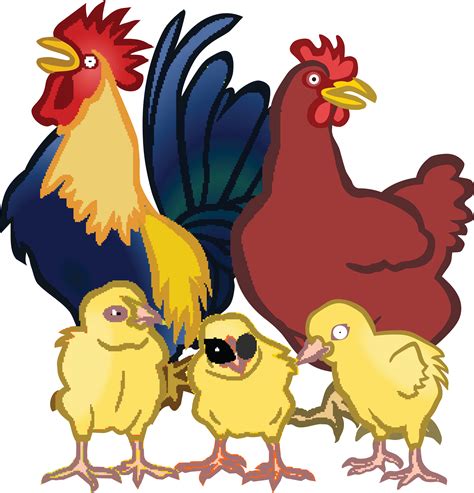 Free Chicken Clipart Transparent Download Free Chicken Clipart Free Chicken Clipart Transparent Download Free Chicken Clipart