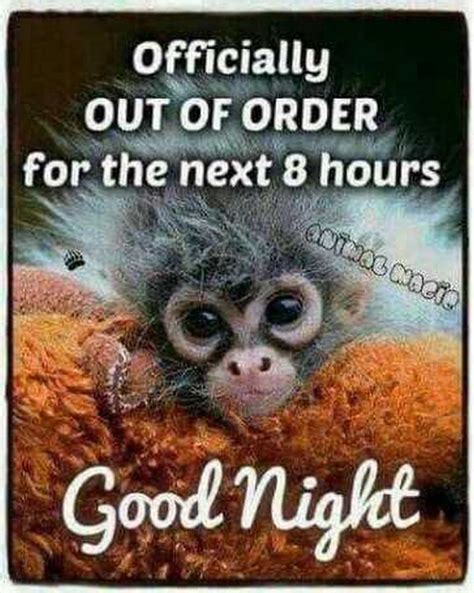 Funny Good Nite Pics