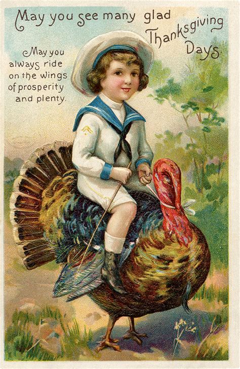 Funny Turkey Photos