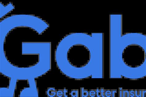 Gabi Insurance Amalink Pro