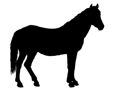 Horse Sillohette