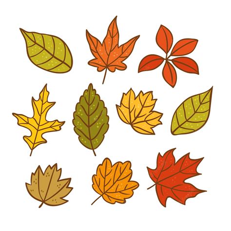 Leaves Cartoon