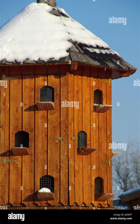 Pigeonry