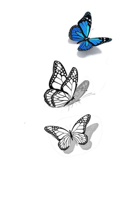 Pin By Eri Felix On Projetos De Tattoo Butterfly Tattoo Stencil Pin By Eri Felix On Projetos De Tattoo Butterfly Tattoo Stencil
