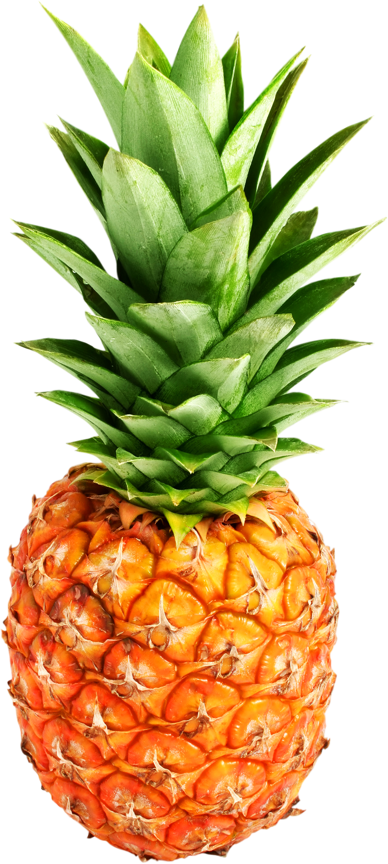 Pineapple Png