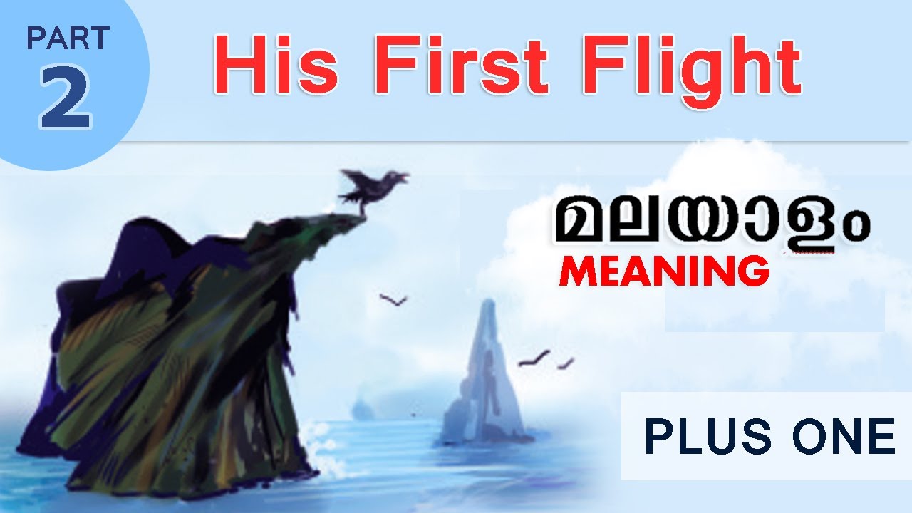 Plus One Meaning