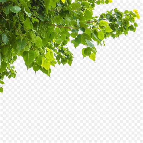 Png Pngtree Png Pngtree