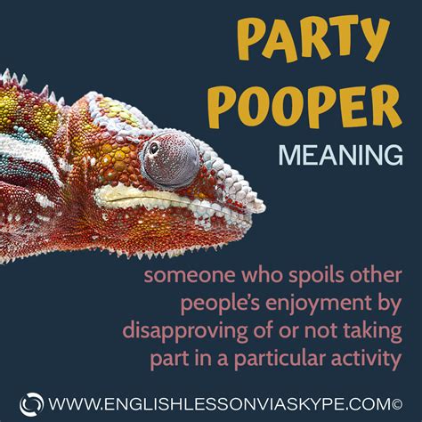 Pooper Meaning