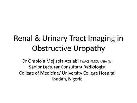 Ppt Renal Urinary Tract Imaging In Obstructive Uropathy Powerpoint Ppt Renal Urinary Tract Imaging In Obstructive Uropathy Powerpoint