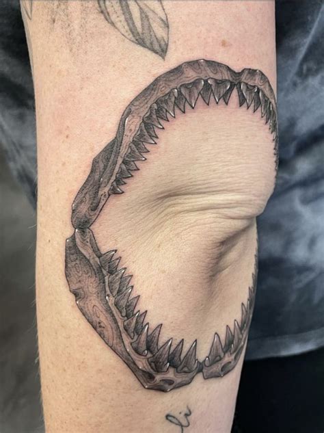Shark Jaws Tattoo Shark Tattoos Shark Tattoos Small Shark Tattoo Shark Jaws Tattoo Shark Tattoos Shark Tattoos Small Shark Tattoo