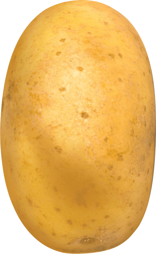 Single Potato Transparent Png Stickpng Single Potato Transparent Png Stickpng