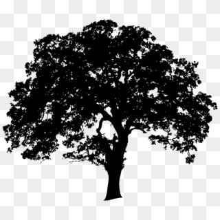 Tree Clipart Black And White Images Charise See Tree Clipart Black And White Images Charise See