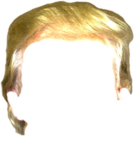 Trump Hair Png