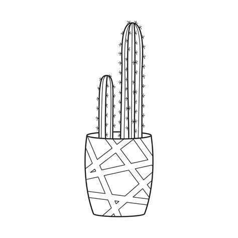 Vector Outline Cactus In Pot Indoor Succulent Plant With Thorns Cacti Vector Outline Cactus In Pot Indoor Succulent Plant With Thorns Cacti