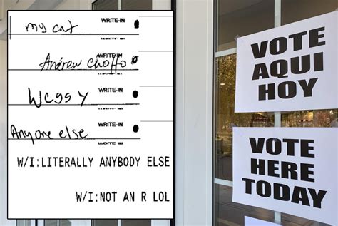 Write In Votes 2024